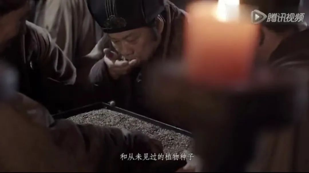 我国历史上“代购第一人”张骞，都带回了哪些西域宝贝？