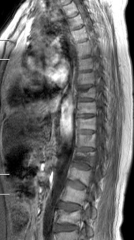 金杯银杯不如观众的口碑,金杯银杯不如患者的口碑