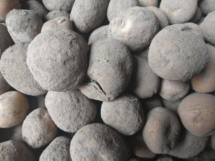 马铃薯喂羊的正确方法,土豆喂狗正确方法