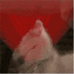 情人节文案甜甜的恋爱,情人节送女朋友甜甜的句子