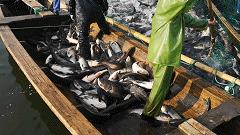 大过中国年高清原图,大过中国年