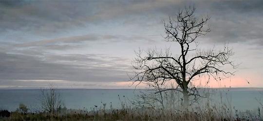 悠然爱摄影,爱摄影闲鱼