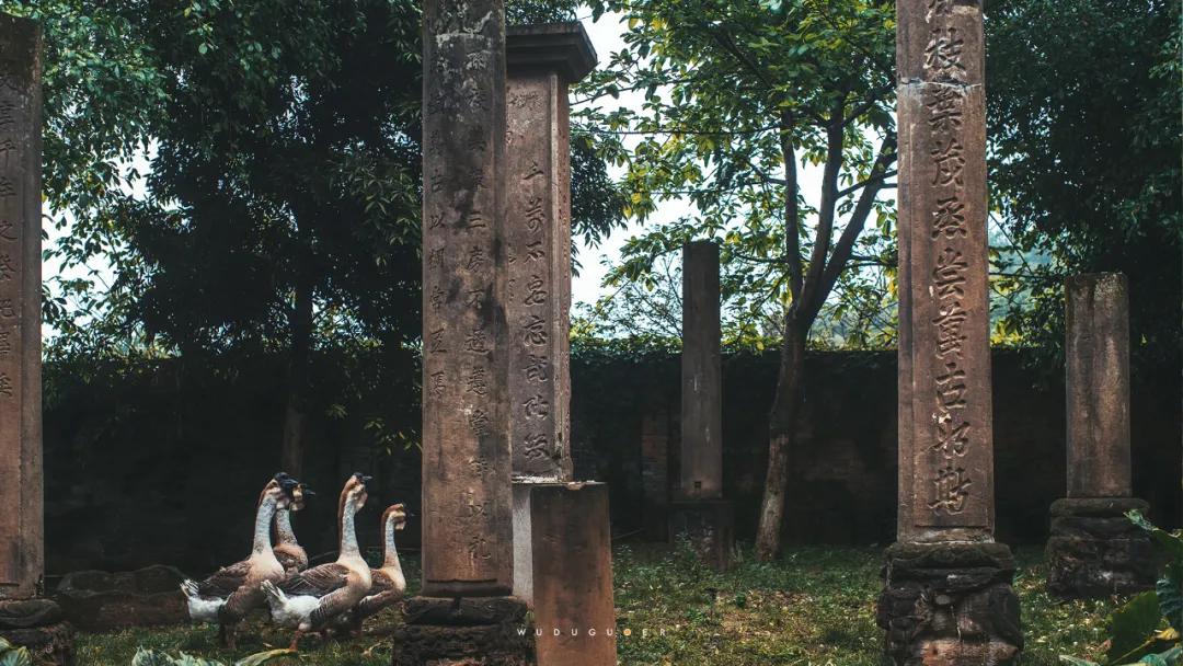 重庆山里的博物馆,大山里的博物馆重庆
