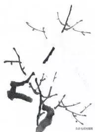 国画梅花画法视频,徐湛梅花画法教程