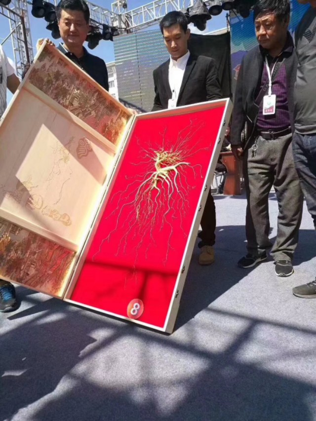 人参贵么,人参真的那么贵吗