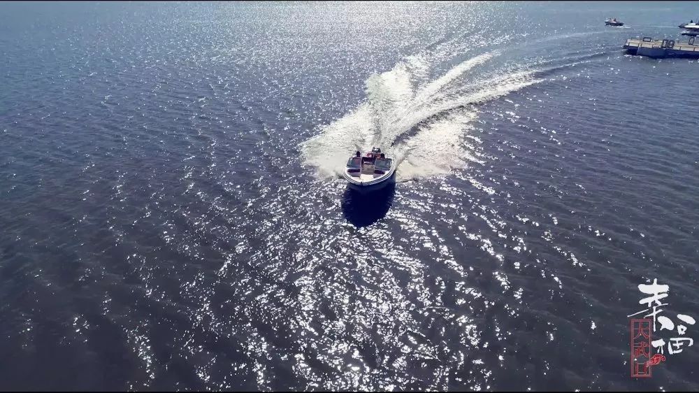 幸福炸了|大武口区落户政策引热议！欢迎王者“归”来