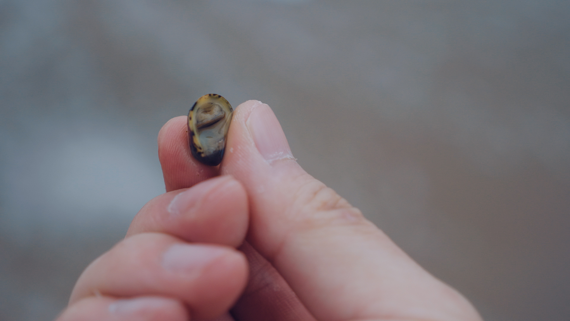 浙江嵊泗列岛三日游,嵊泗四日游旅游攻略