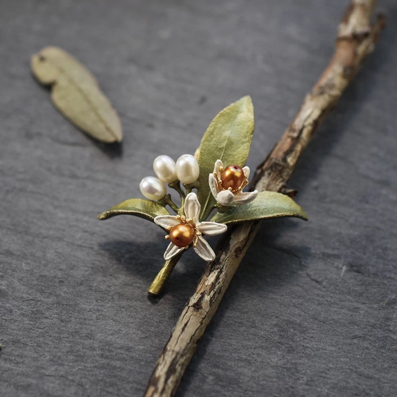 在大自然中观察的现象,在大自然中可以观察到什么