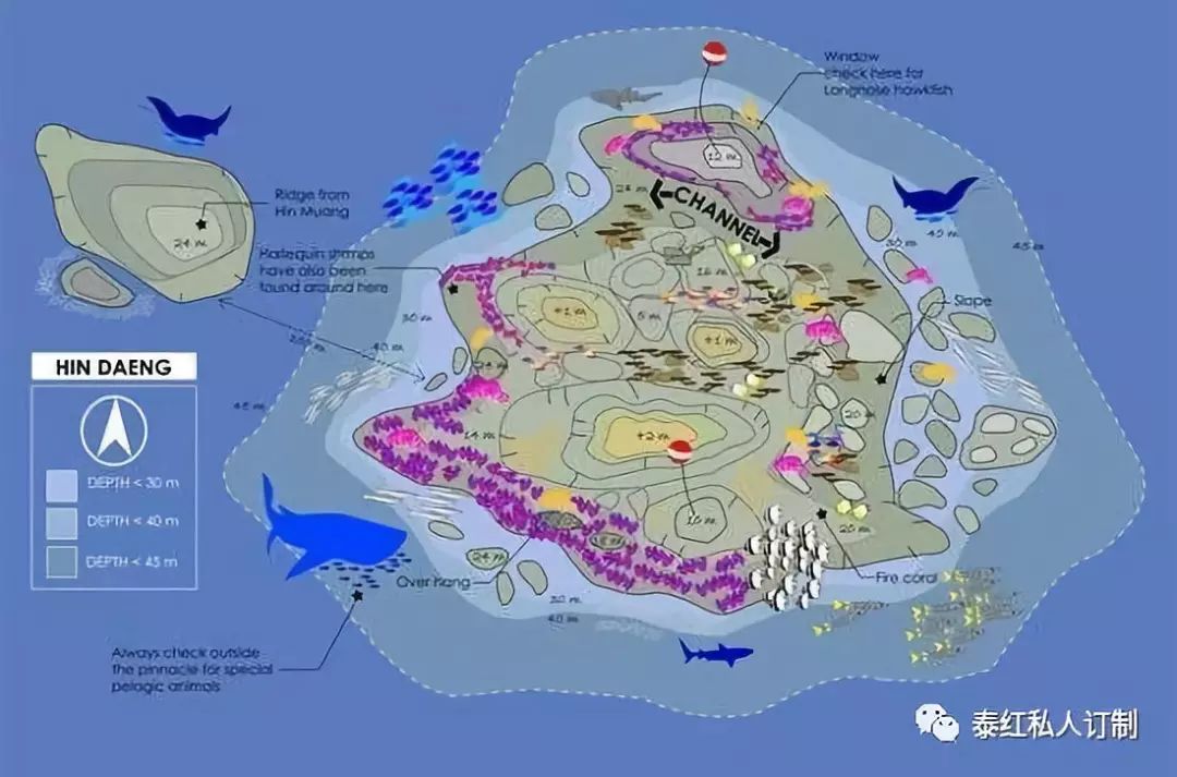 世界最美的潜水胜地,世界前十的深潜胜地