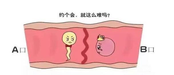 输卵管堵了怎么解决,输卵管堵了怎么办呢