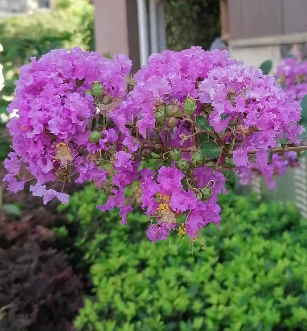 伏牛笔耕苑第332期——今日头条2021.8.20