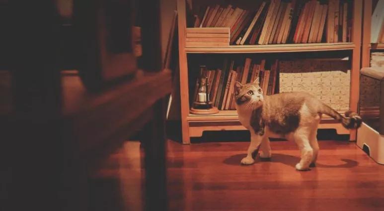 友情的尽头是孤独,一段渐行渐远的友情