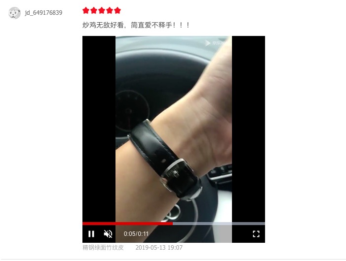 天舵全自动机械手表 (天舵机械手表性价比)