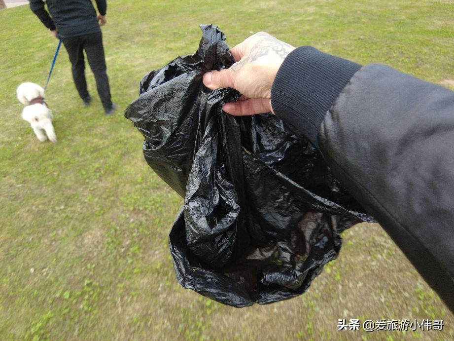 四川邛崃市自驾游露营地,邛崃市羊安街道程河坝露营地