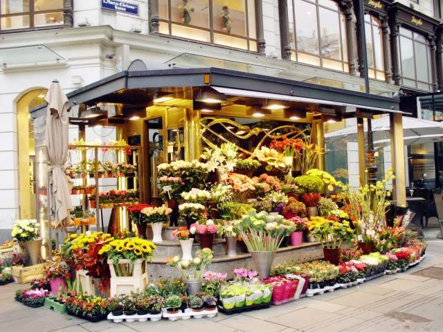 何其幸运开一家属于自己的花店,开了一家属于自己的花店