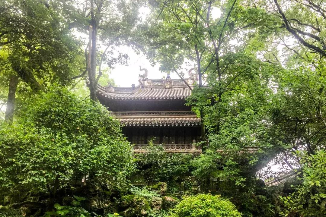 453岁的天一阁，八成的宁波人没有见过它的这一面