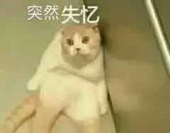 眉毛印章智商税,眉毛印章工具