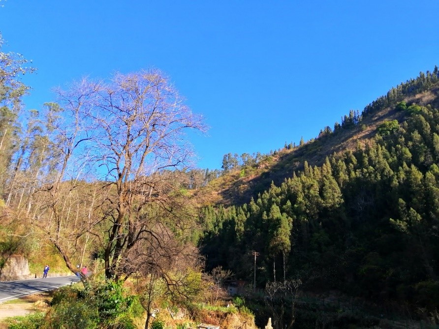 徐霞客游记完整视频,徐霞客游黄山后记全文