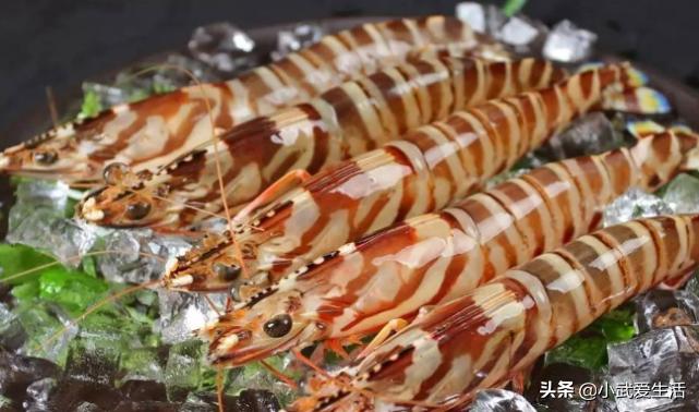 基围虾到底是什么虾,为什么基围虾越来越便宜