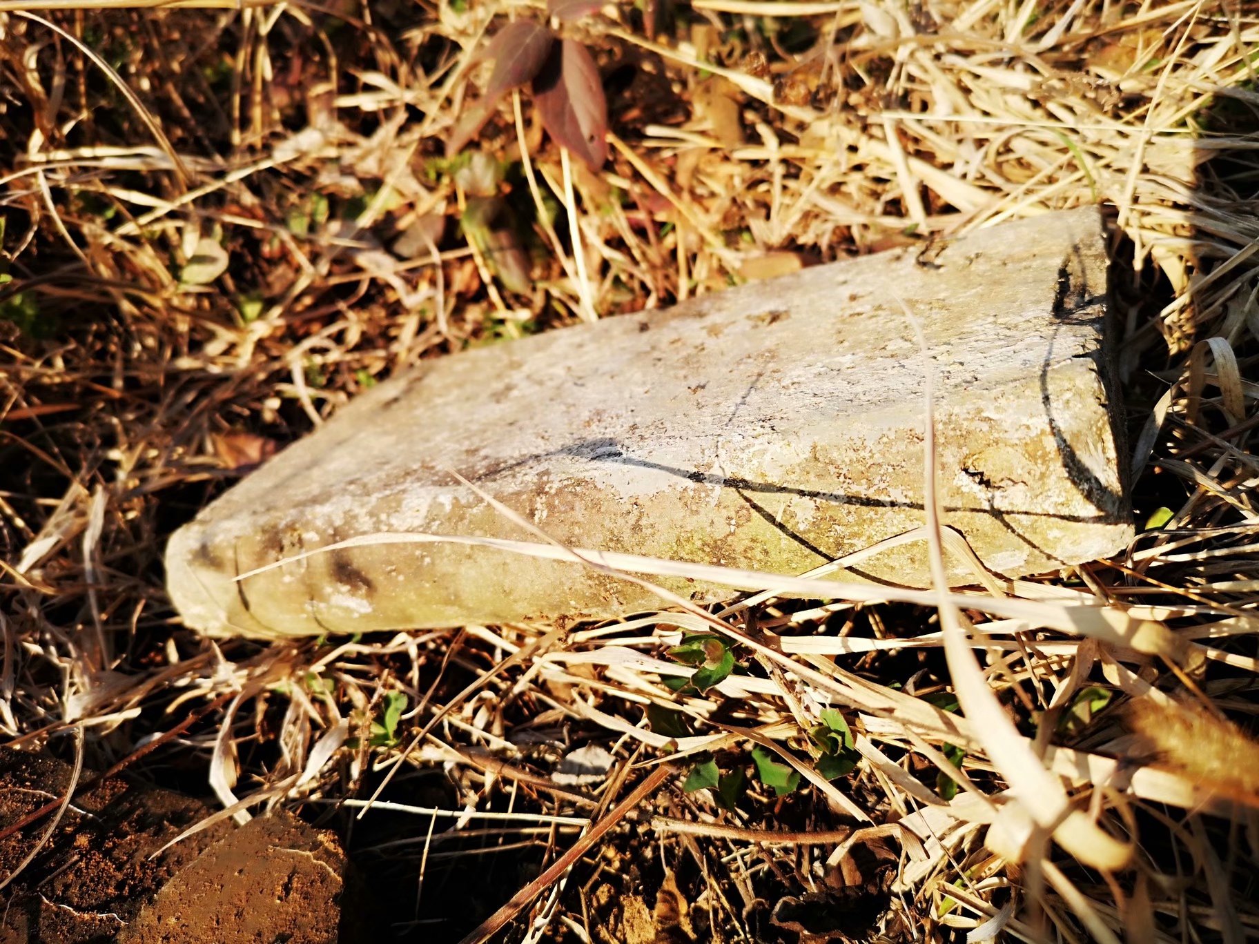 摩托周边旮旯游——探访蚌埠李楼鲁山寺遗址（上）