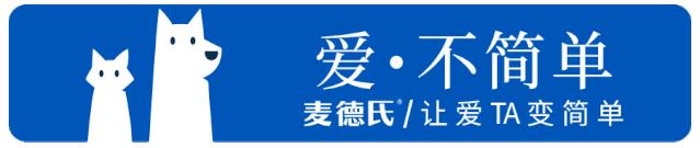 抖音里最火的网红猫,抖音上的几大网红猫