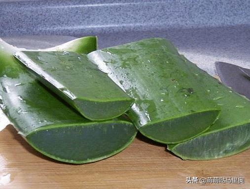 为什么有人用了芦荟胶会爆痘,为什么擦芦荟胶反而长痘