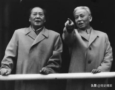 *少奇刘**眼中的毛*东泽**：中国有史以来最伟大的理论家、科学家、革命家和政治家