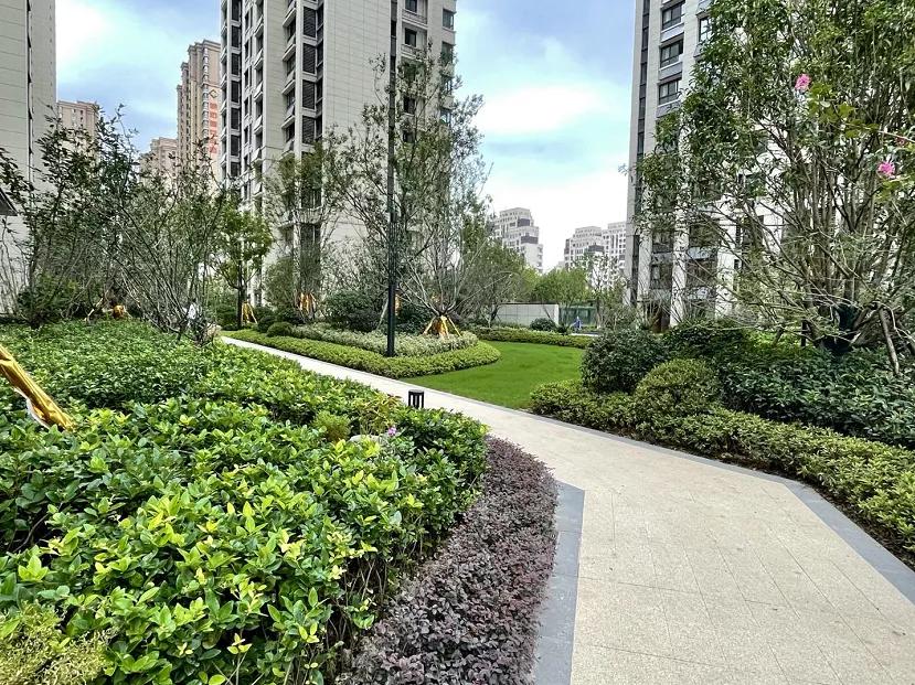 合肥十大平层楼盘排行榜,合肥前十名3室100万首付新楼盘