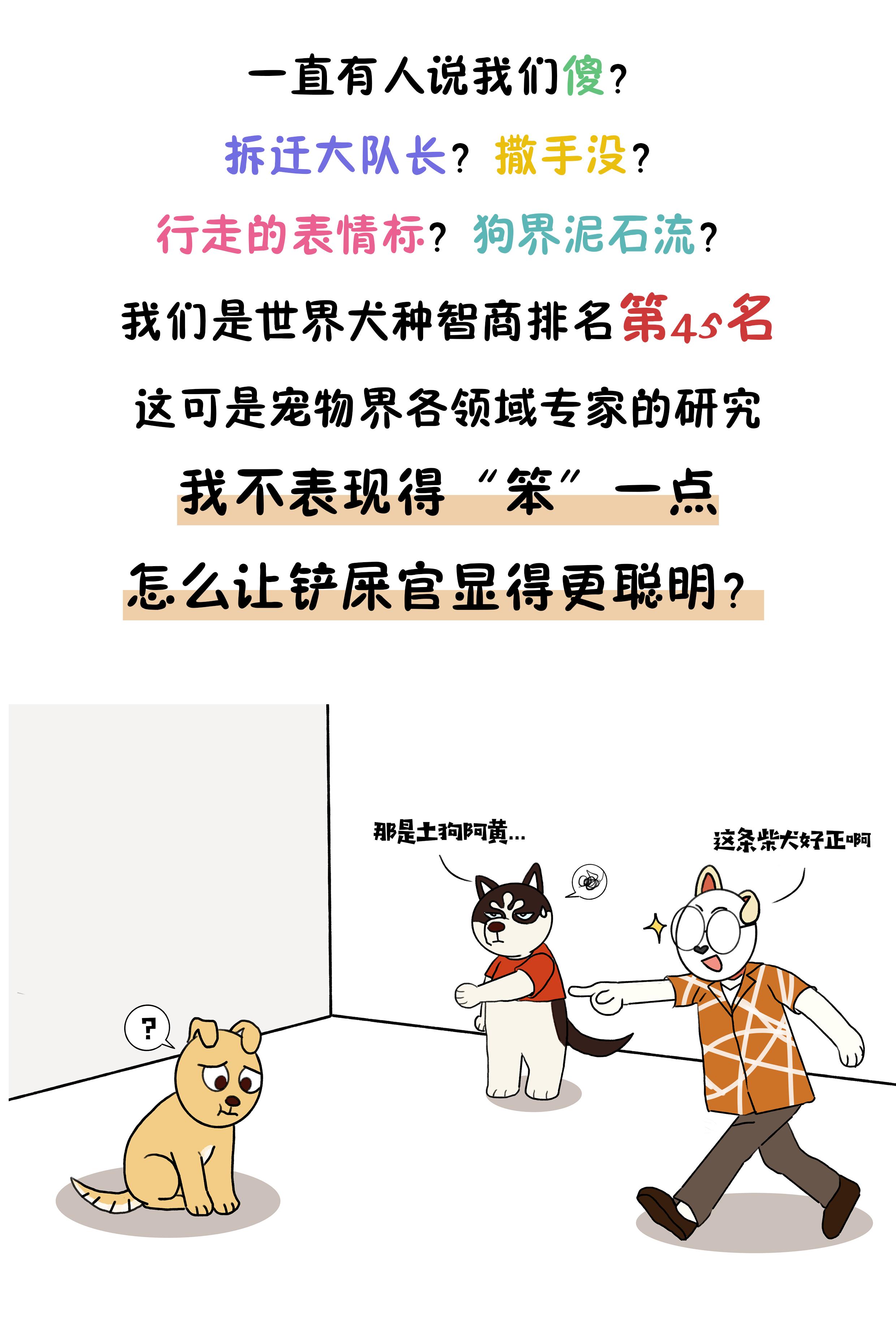 作为狗界泥石流，哈士奇当真这么笨？辟谣：服从性不等于智商