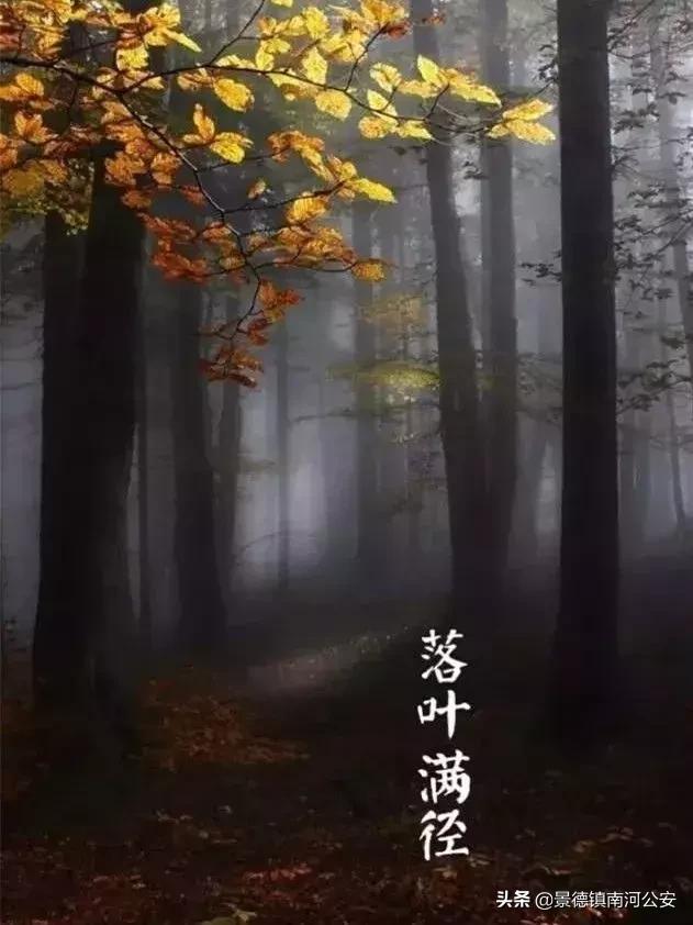 诗词丨33首名作,尽现大唐荣耀289年