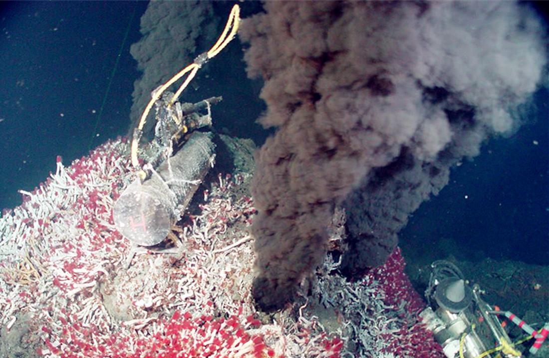 海底400度火山口的虾上岸,海底450度的虾怎么煮熟