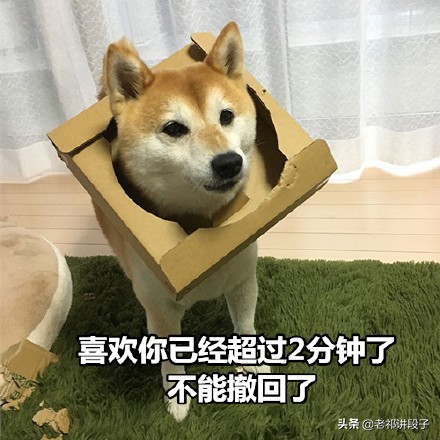 女子古装搞笑段子,古代搞笑段子女子笑死人