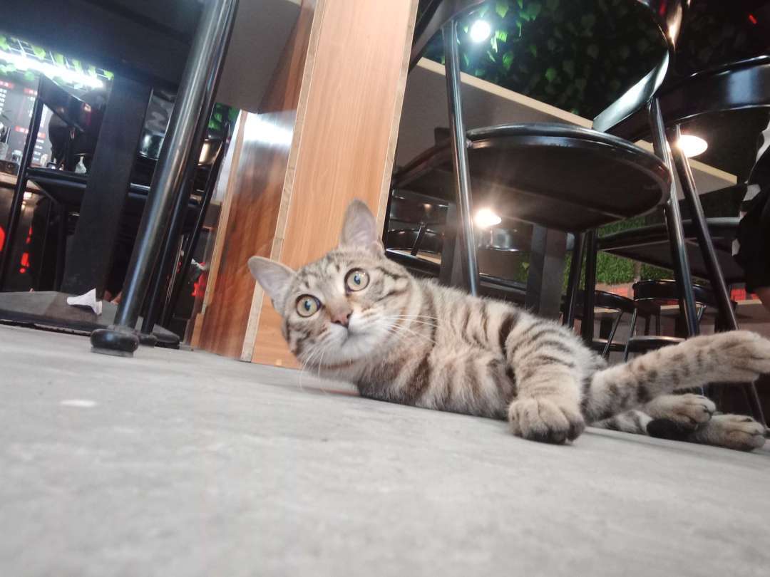 怎么*拍偷**小哥哥不被发现?Reno用户脑洞大开,10倍变焦玩出新花样