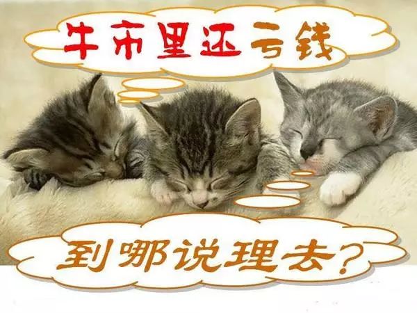 坤鹏论股市里亏的钱都被谁赚走了,坤鹏论股市最新消息