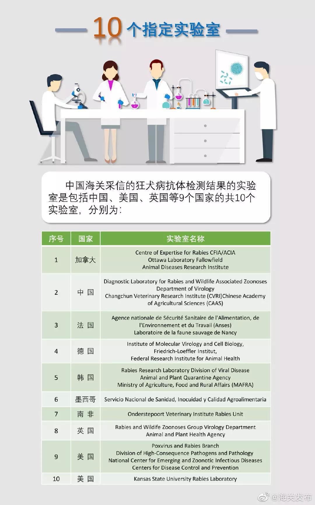夏天如何带宠物上飞机回国,有哪些地方可以带宠物回国
