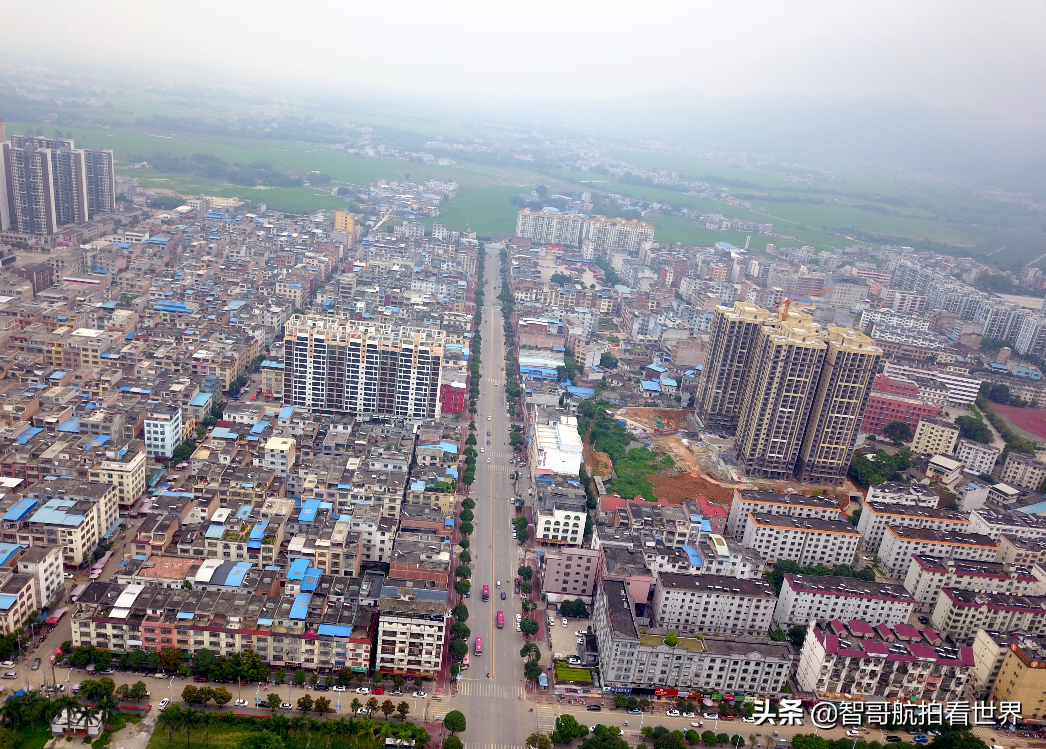 广西宾阳炮龙乡视频,宾阳炮龙之乡新闻