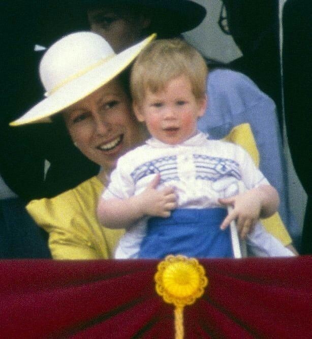 安妮公主刁难戴安娜,安妮公主被骂