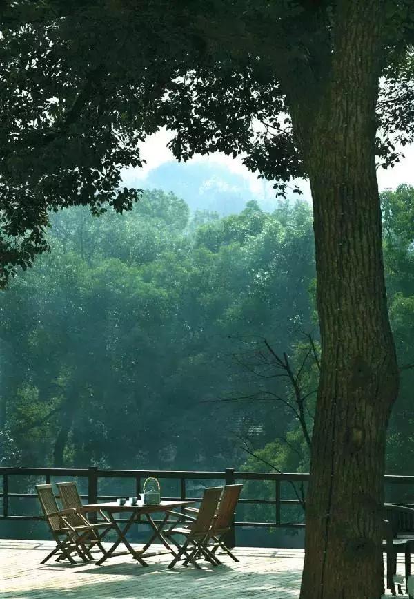 杭州隐宿网红民宿,杭州隐居山林古风小屋