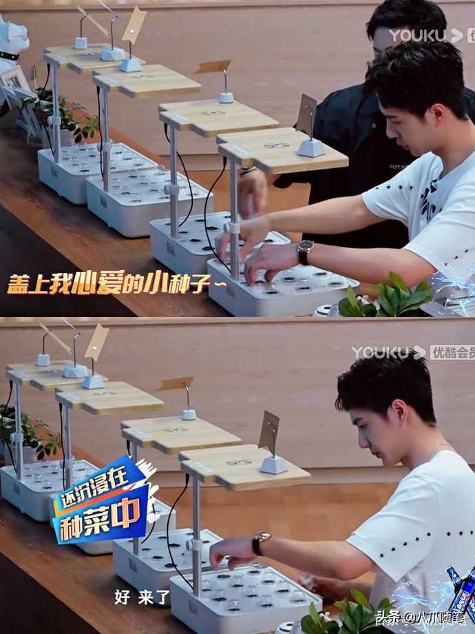 王一博感性纯粹,王一博火锅间名场面