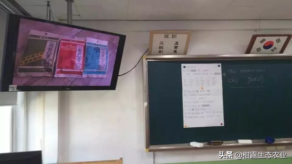 国货出海项目是真的吗,国货品牌何去何从