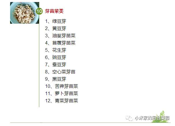 别墅菜园适合种什么菜,适合懒人种的阳台菜