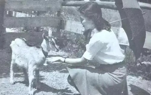 分析钱学森与蒋英爱情故事,钱学森与蒋英的爱情故事发言