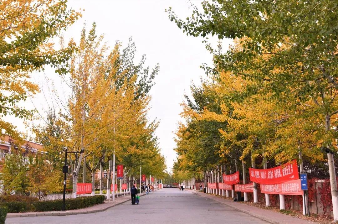 北京科技大学天津学院原独立学院,北京科技大学天津学院独立学院