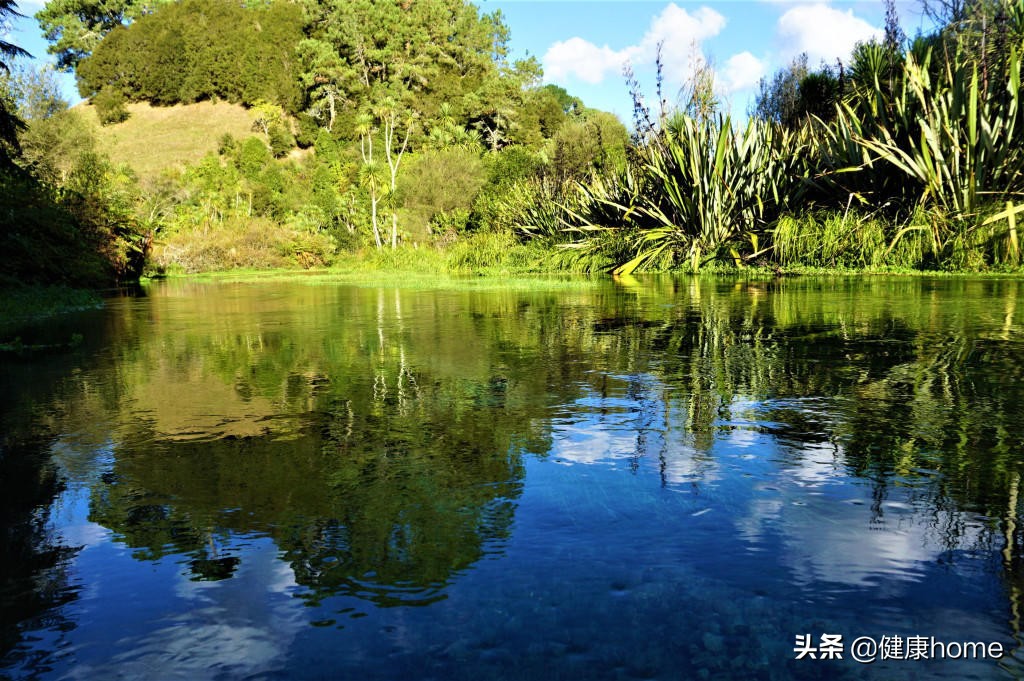 新西兰霍比特人村攻略,新西兰霍比特蓝泉一日游