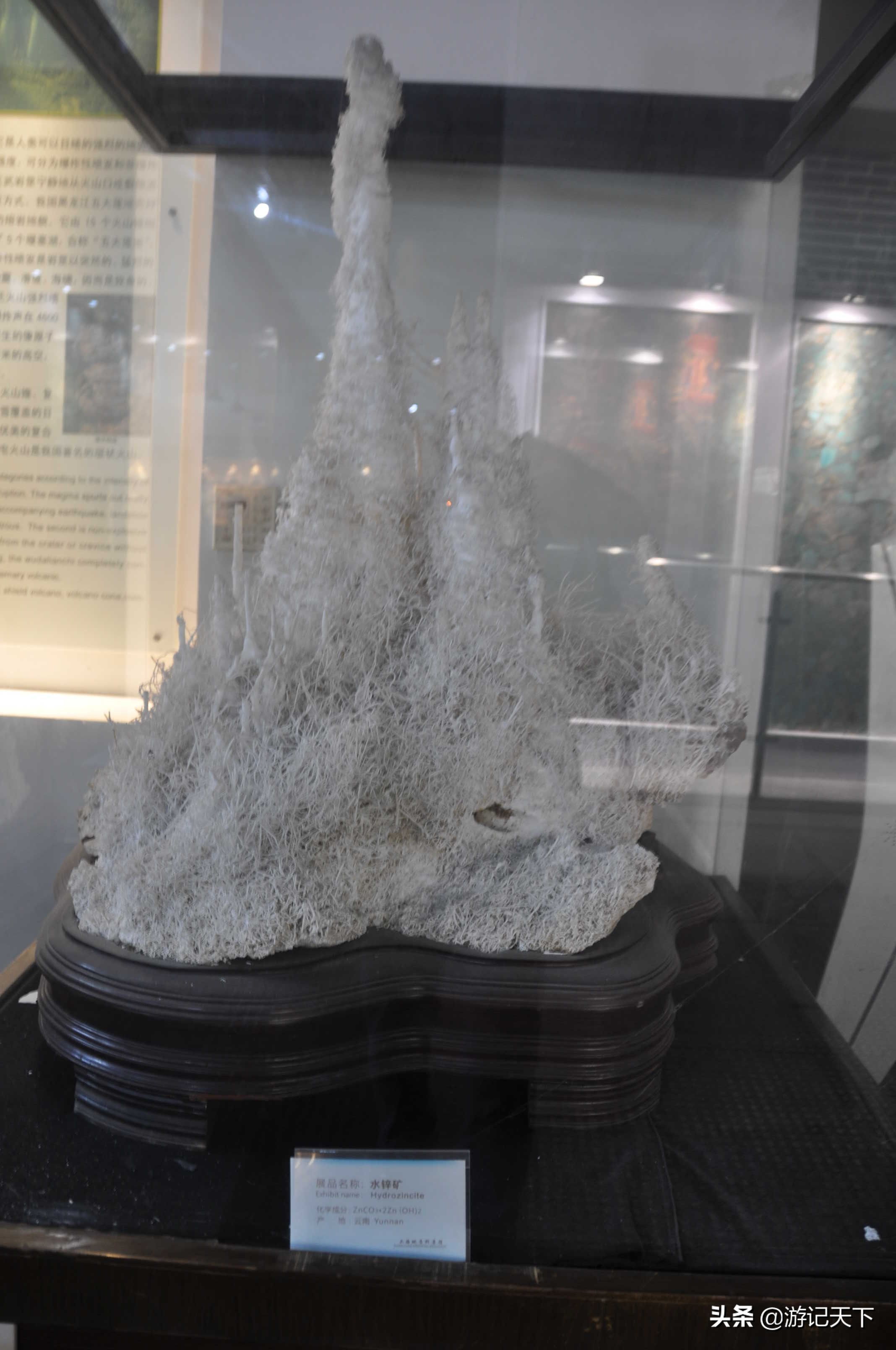 阿尼亚参观博物馆,上海地质科普馆游玩