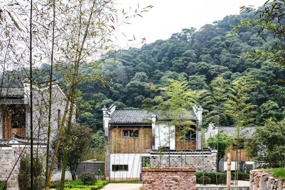 武夷山德懋堂|270万起旅居武夷山临溪别墅，遍访先贤遗迹！看云海、逛古村、品香茗，每天都生活在山水画中