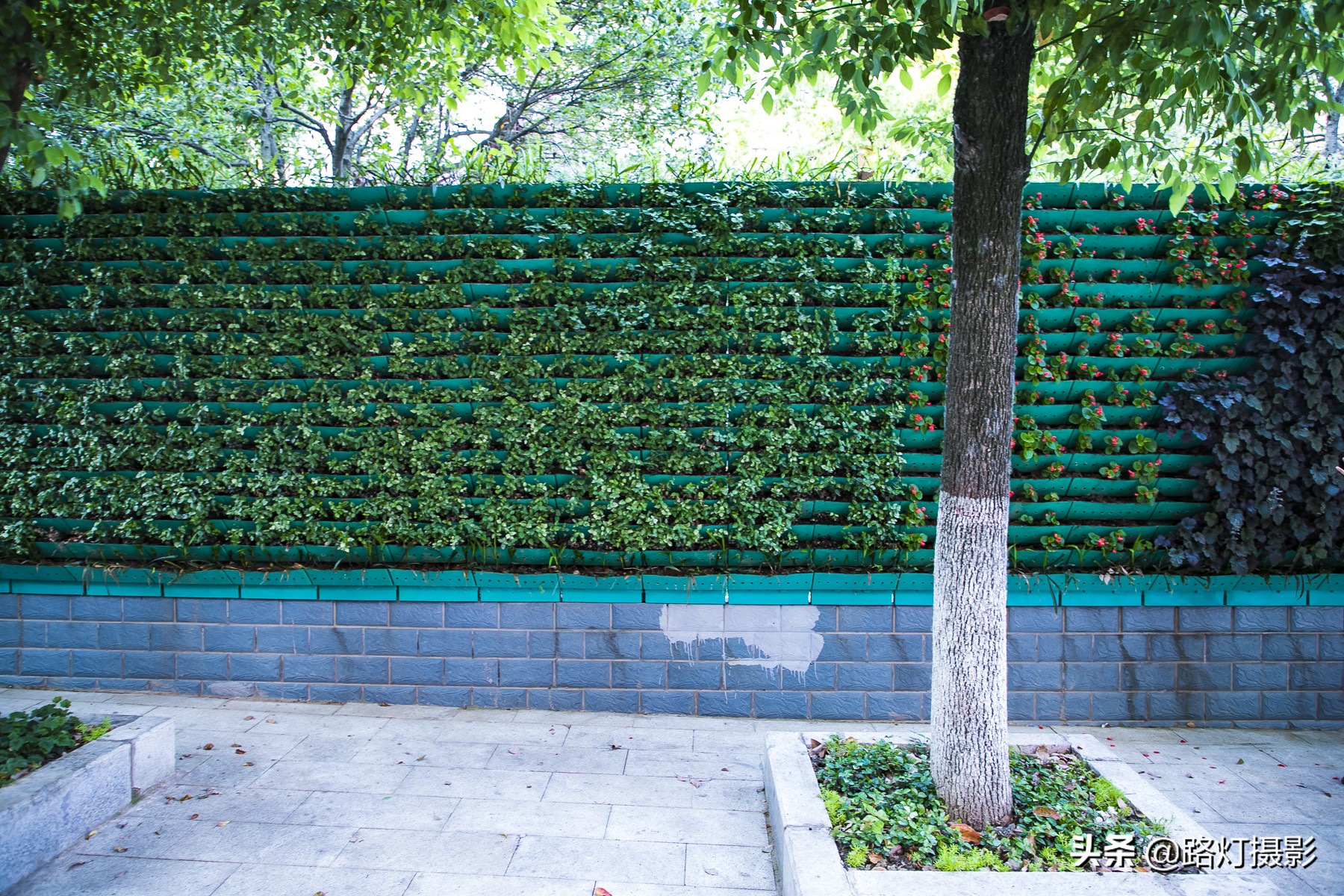 中国唯一一个永久性宜居城市,中国唯一一座永久性宜居城市