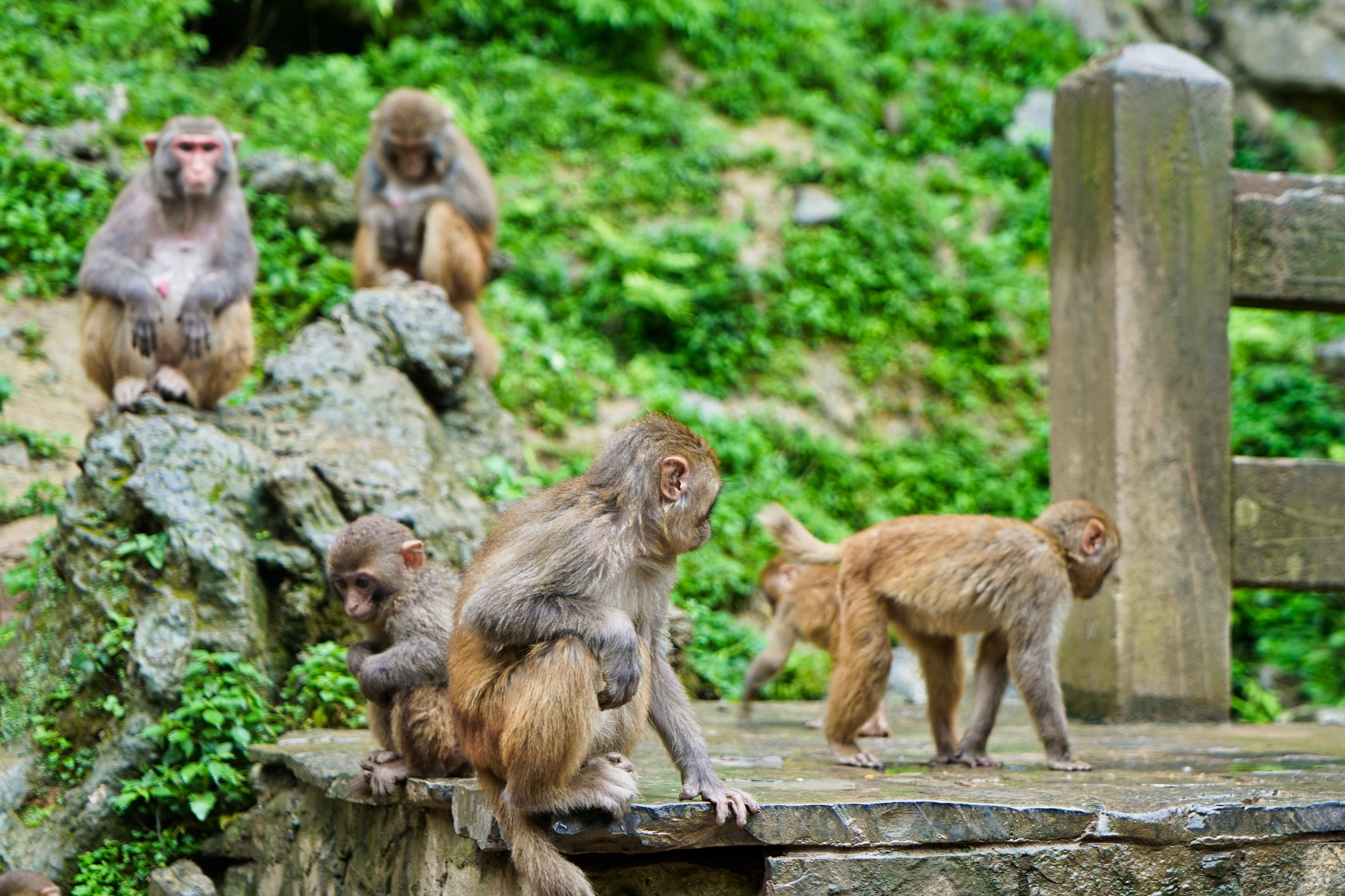重庆周边山区哪里有温泉,重庆周边泡温泉一日游最佳景点