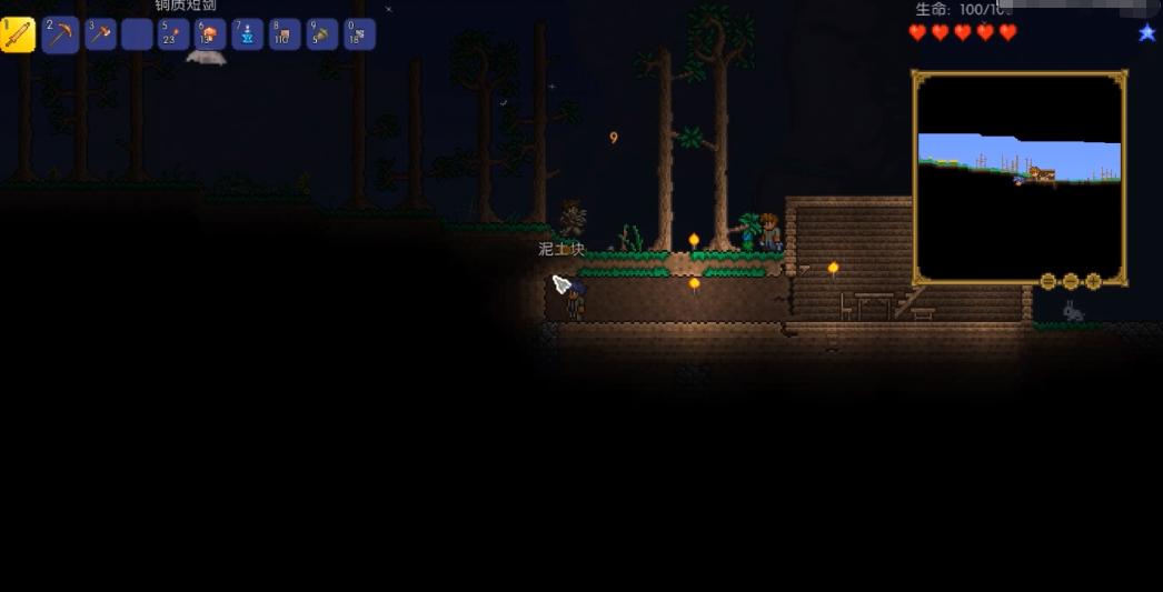 泰拉瑞亚手游最真实测评,泰拉瑞亚手游前期神器盘点