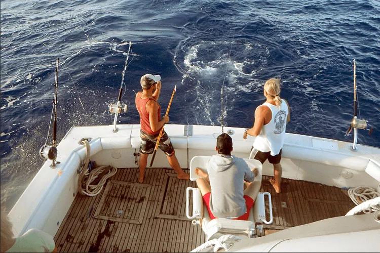 越看越上瘾的航海冷知识,这些海洋冷知识你一定想知道